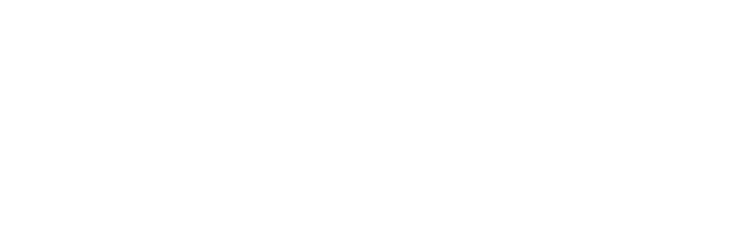 Irene Zundel